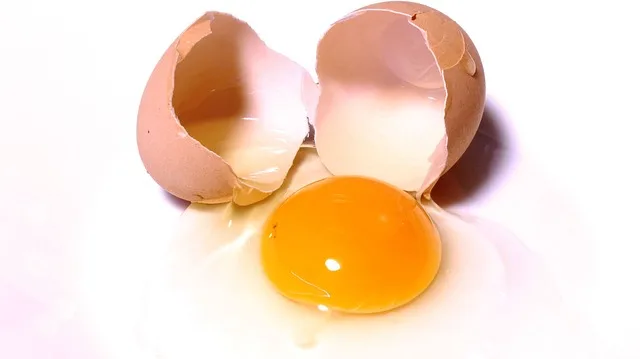 Colina: um nutriente essencial para o desenvolvimento cognitivo