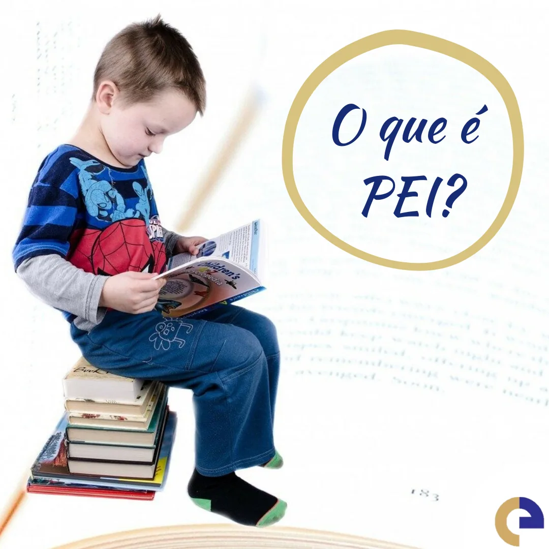 O que é o PEI – Plano Educacional Individual?