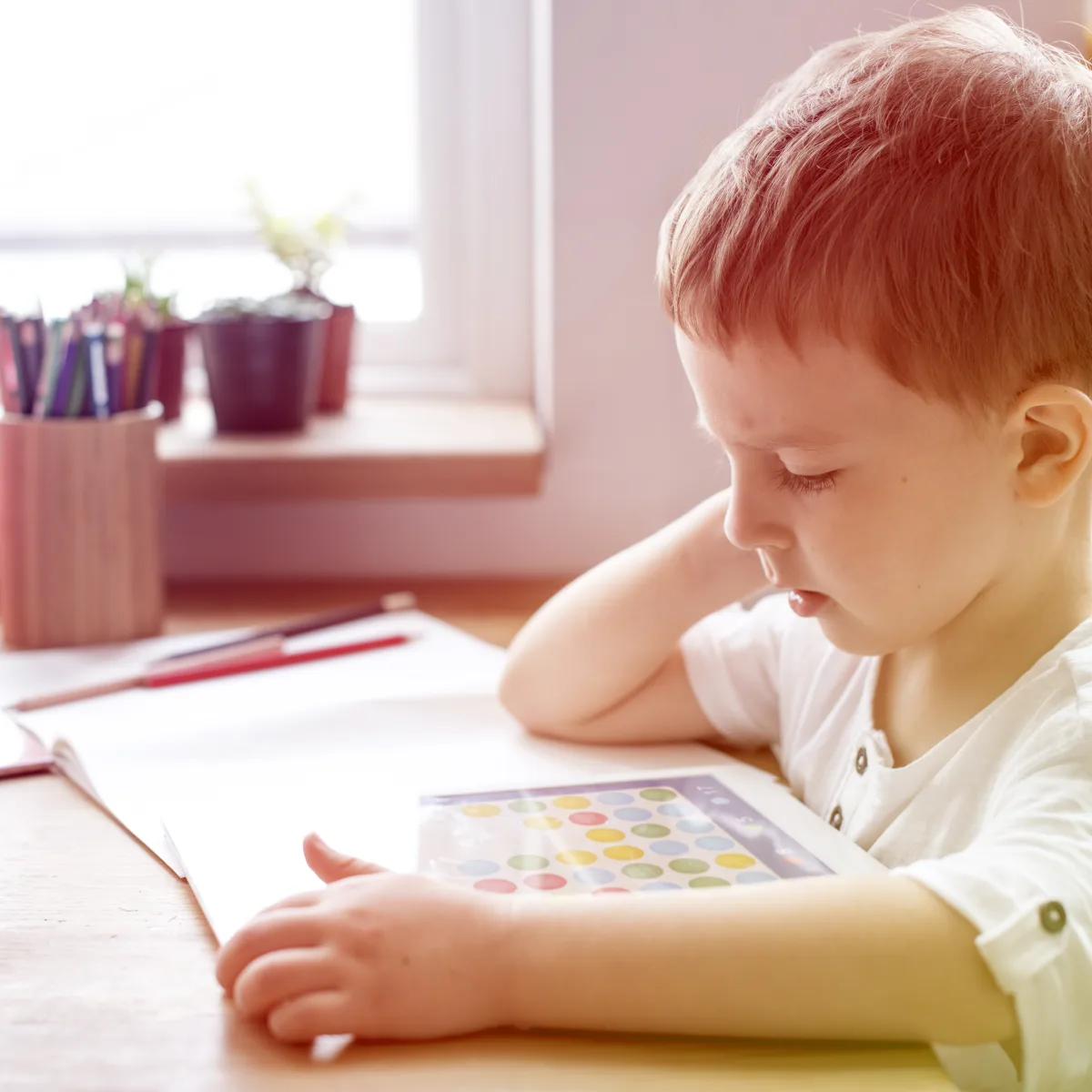 Funções executivas e seu impacto no processo de aprendizagem: o papel da Neuropsicopedagogia