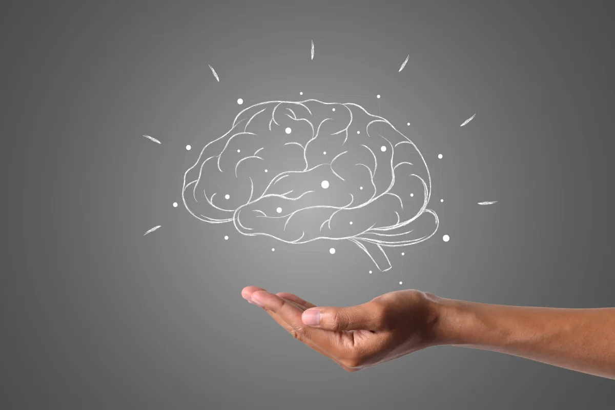 cérebro-neuroplasticidade-aprendizagem-psicopedagogia